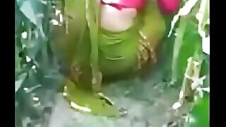 Indian couple enjoys outdoor sex in the park.